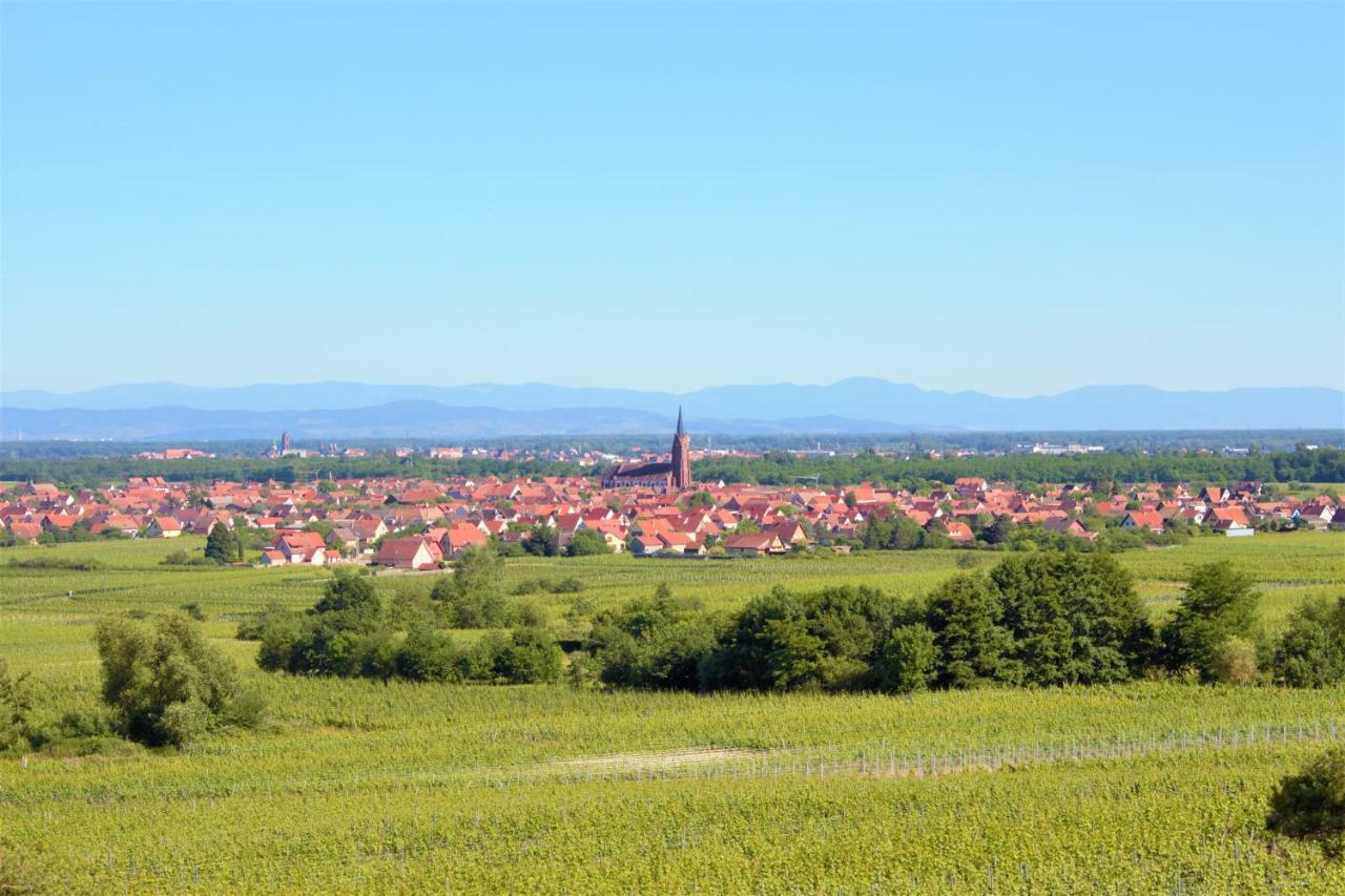 Ferienwohnung La Halte des Vignes Scherwiller Exterior foto
