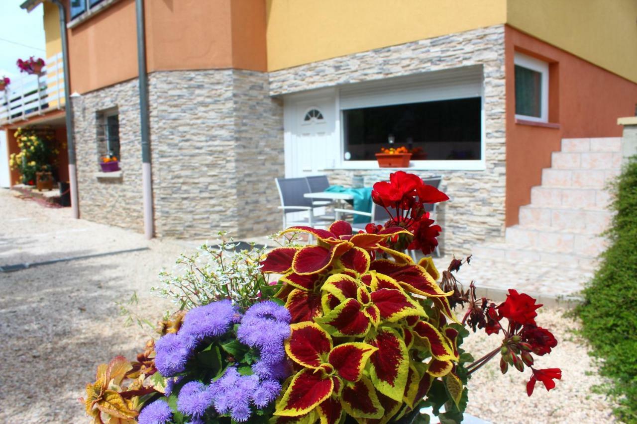 Ferienwohnung La Halte des Vignes Scherwiller Exterior foto